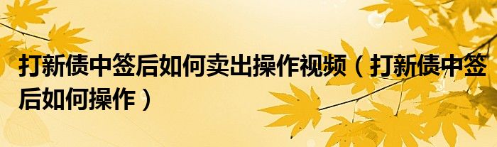 打新债中签后如何卖出操作视频（打新债中签后如何操作）