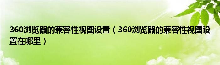 360浏览器的兼容性视图设置（360浏览器的兼容性视图设置在哪里）