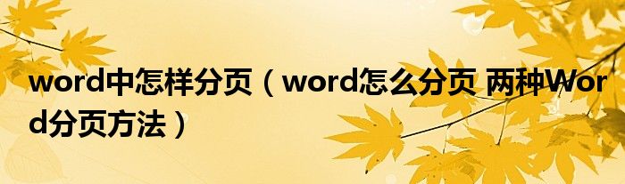 word中怎样分页（word怎么分页 两种Word分页方法）