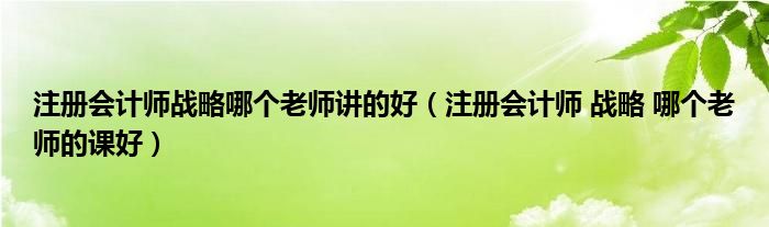 注册会计师战略哪个老师讲的好（注册会计师 战略 哪个老师的课好）