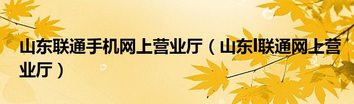 山东联通手机网上营业厅（山东l联通网上营业厅）