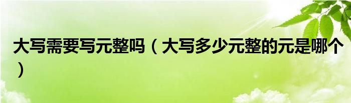 大写需要写元整吗（大写多少元整的元是哪个）