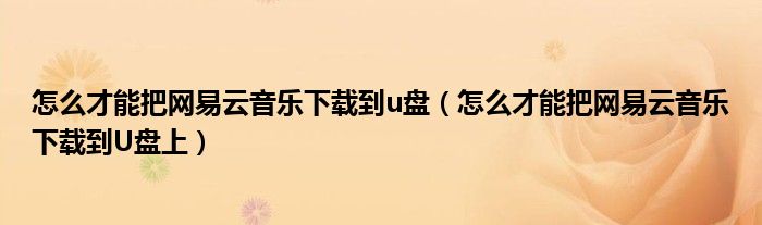 怎么才能把网易云音乐下载到u盘（怎么才能把网易云音乐下载到U盘上）