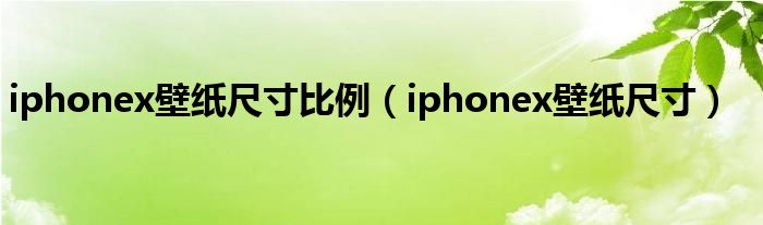 iphonex壁纸尺寸比例（iphonex壁纸尺寸）