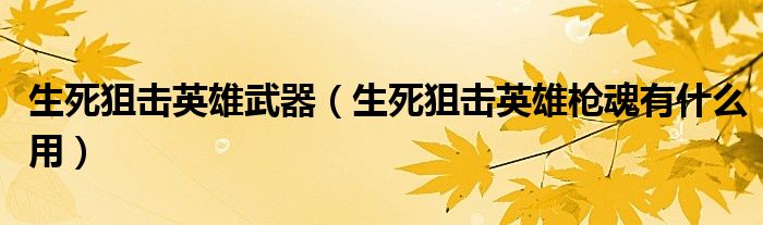 生死狙击英雄武器（生死狙击英雄枪魂有什么用）