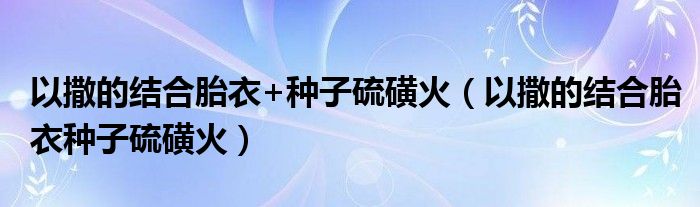 以撒的结合胎衣+种子硫磺火（以撒的结合胎衣种子硫磺火）