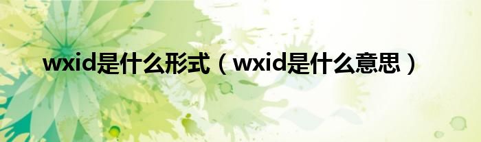 wxid是什么形式（wxid是什么意思）