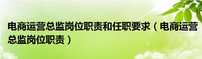 电商运营总监岗位职责和任职要求（电商运营总监岗位职责）