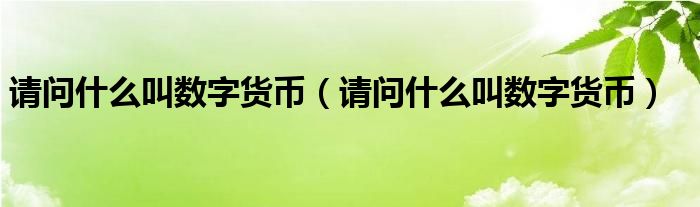 请问什么叫数字货币（请问什么叫数字货币）