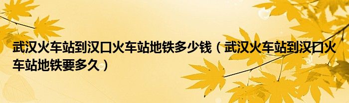 武汉火车站到汉口火车站地铁多少钱（武汉火车站到汉口火车站地铁要多久）