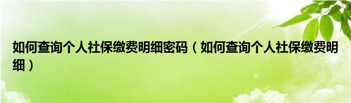 如何查询个人社保缴费明细密码（如何查询个人社保缴费明细）