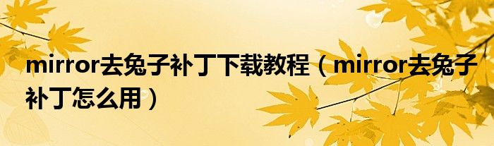 mirror去兔子补丁下载教程（mirror去兔子补丁怎么用）