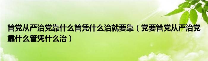 管党从严治党靠什么管凭什么治就要靠（党要管党从严治党靠什么管凭什么治）