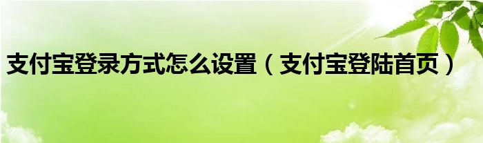 支付宝登录方式怎么设置（支付宝登陆首页）