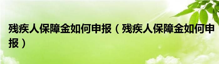 残疾人保障金如何申报（残疾人保障金如何申报）