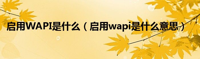 启用WAPI是什么（启用wapi是什么意思）