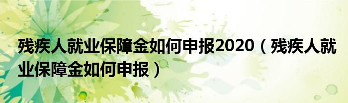 残疾人就业保障金如何申报2020（残疾人就业保障金如何申报）