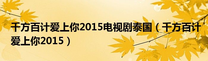 千方百计爱上你2015电视剧泰国（千方百计爱上你2015）