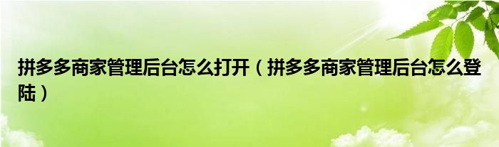 拼多多商家管理后台怎么打开（拼多多商家管理后台怎么登陆）