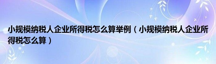 小规模纳税人企业所得税怎么算举例（小规模纳税人企业所得税怎么算）