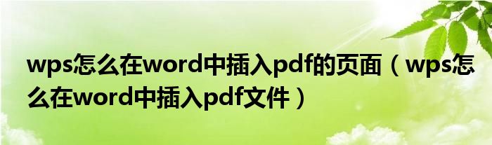 wps怎么在word中插入pdf的页面（wps怎么在word中插入pdf文件）