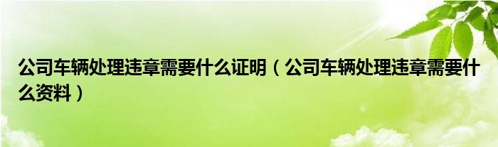 公司车辆处理违章需要什么证明（公司车辆处理违章需要什么资料）