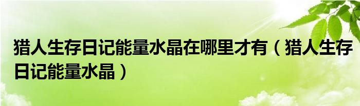 猎人生存日记能量水晶在哪里才有（猎人生存日记能量水晶）