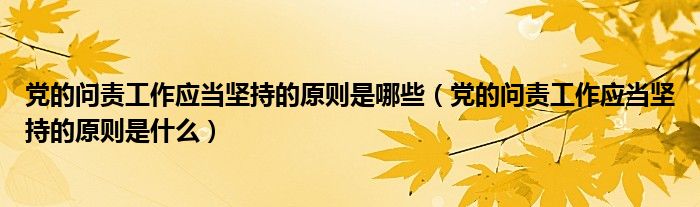 党的问责工作应当坚持的原则是哪些（党的问责工作应当坚持的原则是什么）