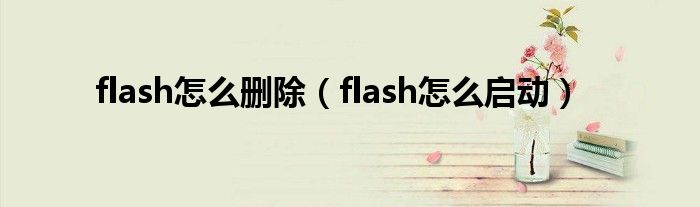 flash怎么删除（flash怎么启动）