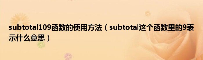 subtotal109函数的使用方法（subtotal这个函数里的9表示什么意思）