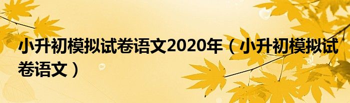 小升初模拟试卷语文2020年（小升初模拟试卷语文）