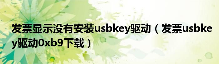 发票显示没有安装usbkey驱动（发票usbkey驱动0xb9下载）