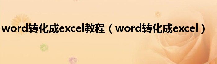 word转化成excel教程（word转化成excel）