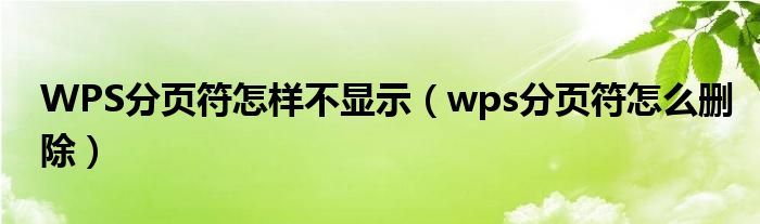 WPS分页符怎样不显示（wps分页符怎么删除）