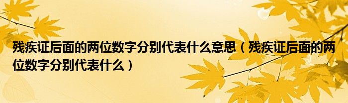 残疾证后面的两位数字分别代表什么意思（残疾证后面的两位数字分别代表什么）