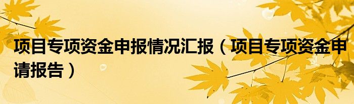 项目专项资金申报情况汇报（项目专项资金申请报告）