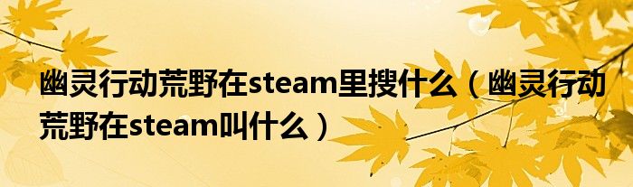 幽灵行动荒野在steam里搜什么（幽灵行动荒野在steam叫什么）