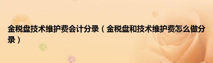 金税盘技术维护费会计分录（金税盘和技术维护费怎么做分录）