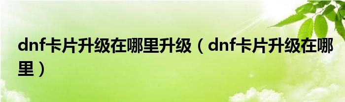 dnf卡片升级在哪里升级（dnf卡片升级在哪里）