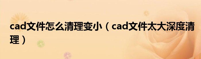 cad文件怎么清理变小（cad文件太大深度清理）