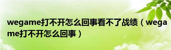 wegame打不开怎么回事看不了战绩（wegame打不开怎么回事）