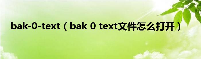 bak-0-text（bak 0 text文件怎么打开）