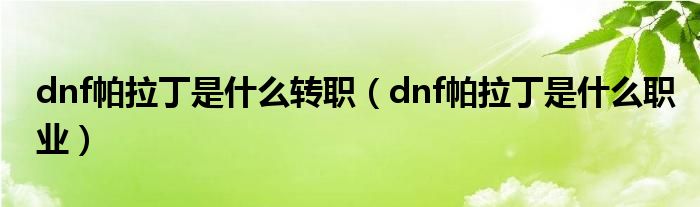 dnf帕拉丁是什么转职（dnf帕拉丁是什么职业）