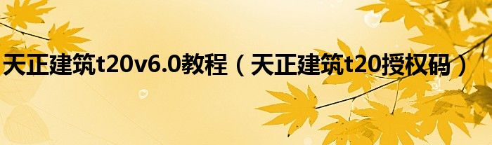 天正建筑t20v6.0教程（天正建筑t20授权码）