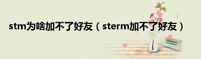 stm为啥加不了好友（sterm加不了好友）