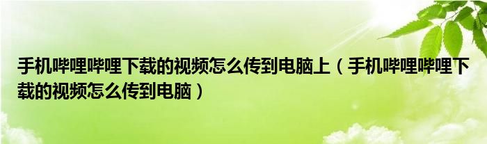 手机哔哩哔哩下载的视频怎么传到电脑上（手机哔哩哔哩下载的视频怎么传到电脑）