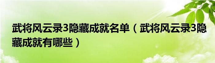 武将风云录3隐藏成就名单（武将风云录3隐藏成就有哪些）