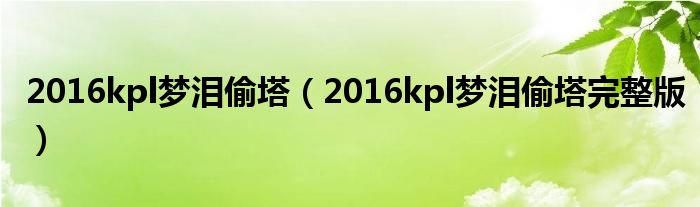 2016kpl梦泪偷塔（2016kpl梦泪偷塔完整版）