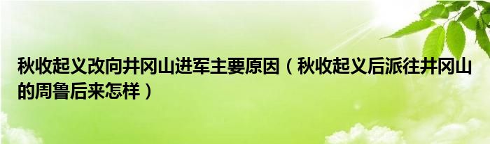 秋收起义改向井冈山进军主要原因（秋收起义后派往井冈山的周鲁后来怎样）