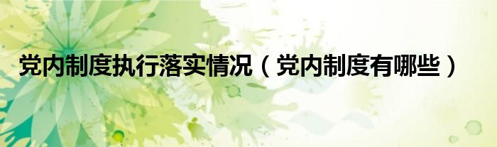 党内制度执行落实情况（党内制度有哪些）